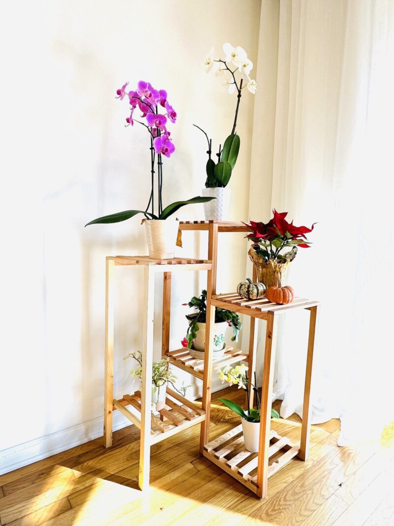 Multi-Tier Angled Plant Stand - Image 3