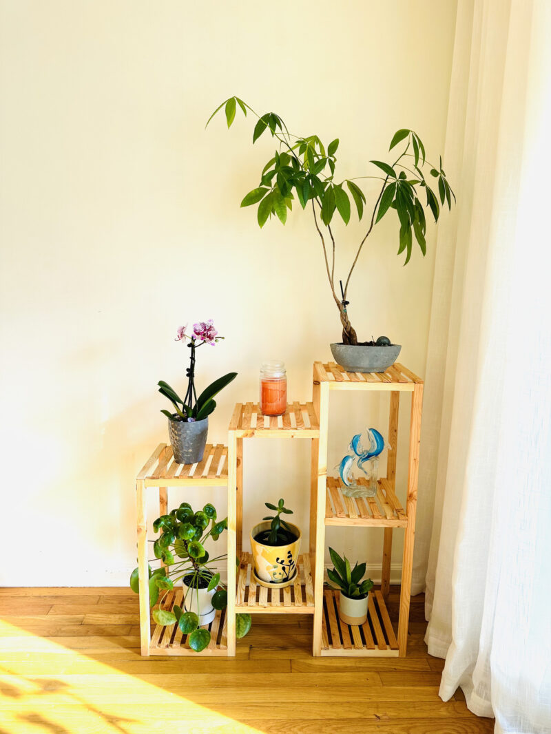 Multi-Tier Steps Plant Stand - Image 3