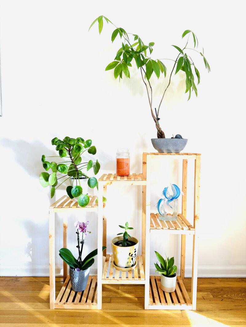 Multi-Tier Steps Plant Stand