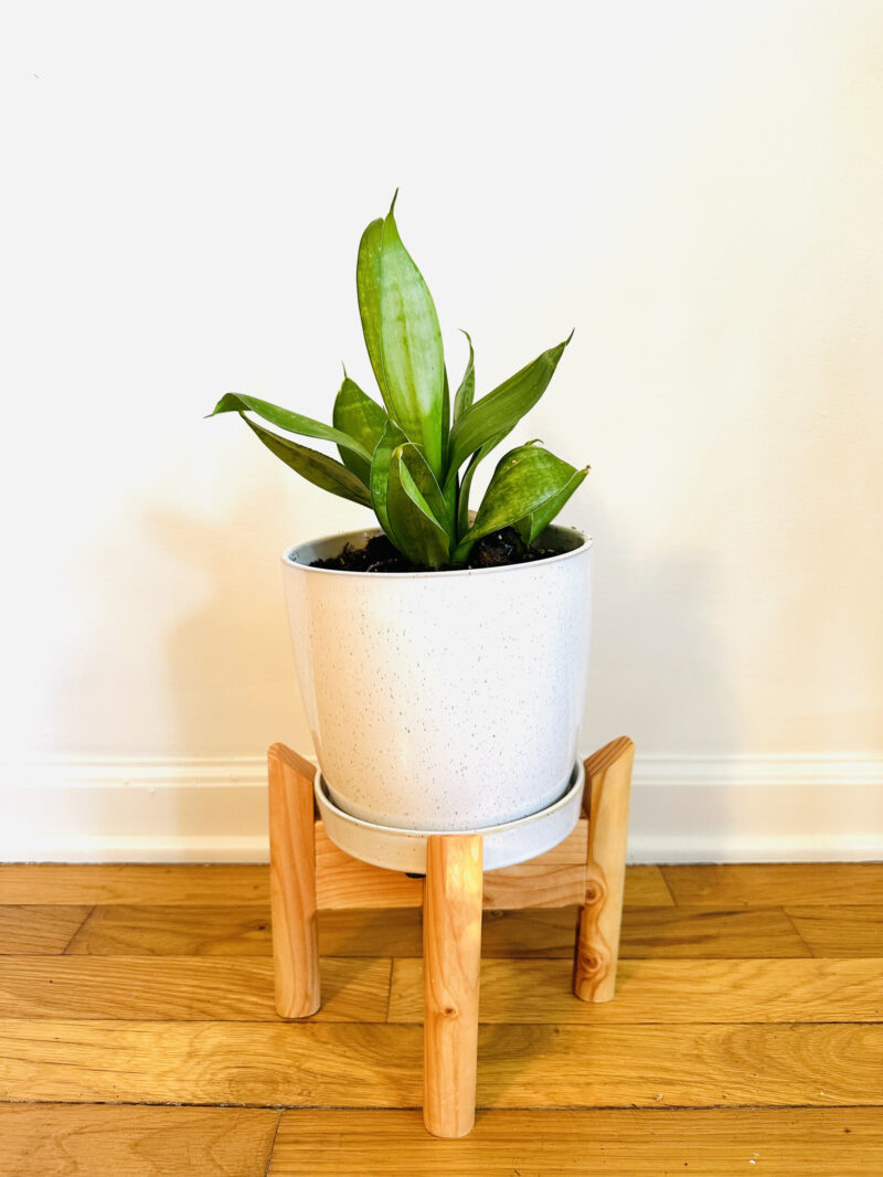 Collapsible Plant Stand - Image 8