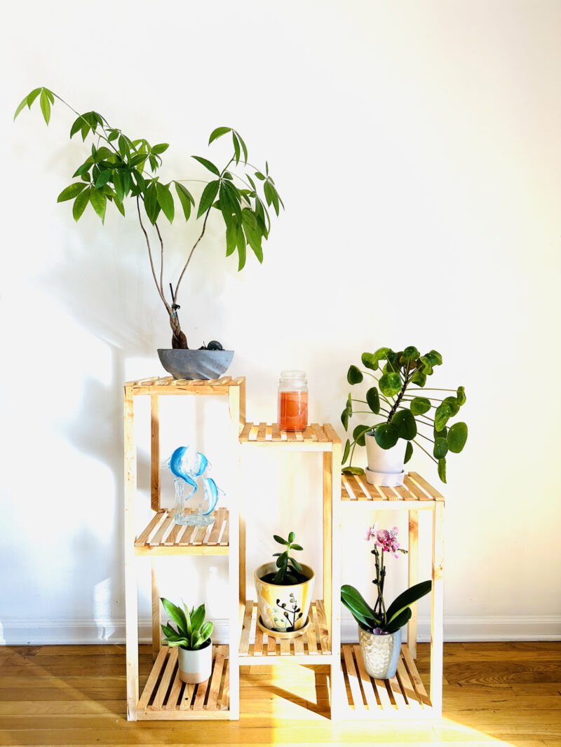 Multi-Tier Steps Plant Stand - Image 2