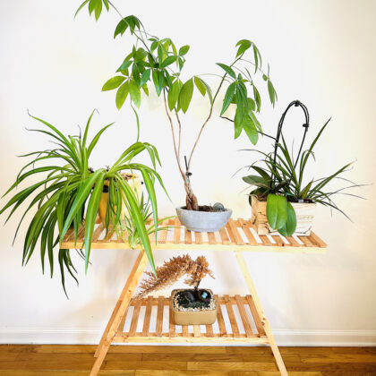 Table Plant Stand