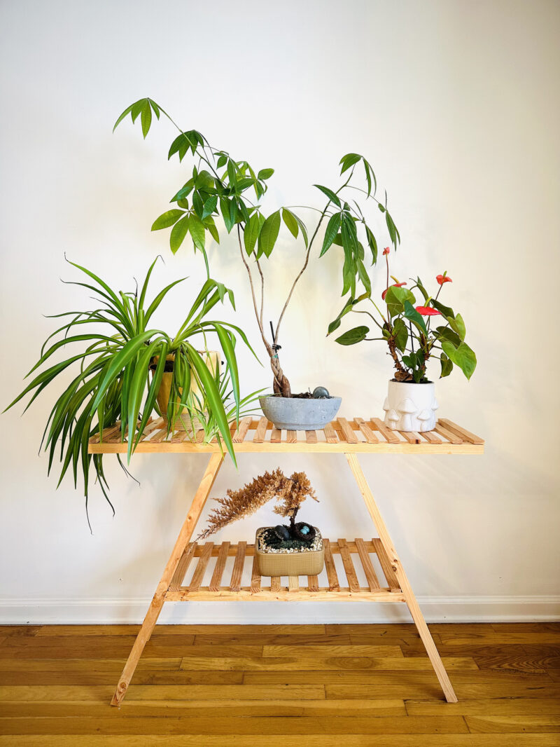 Table Plant Stand - Image 2
