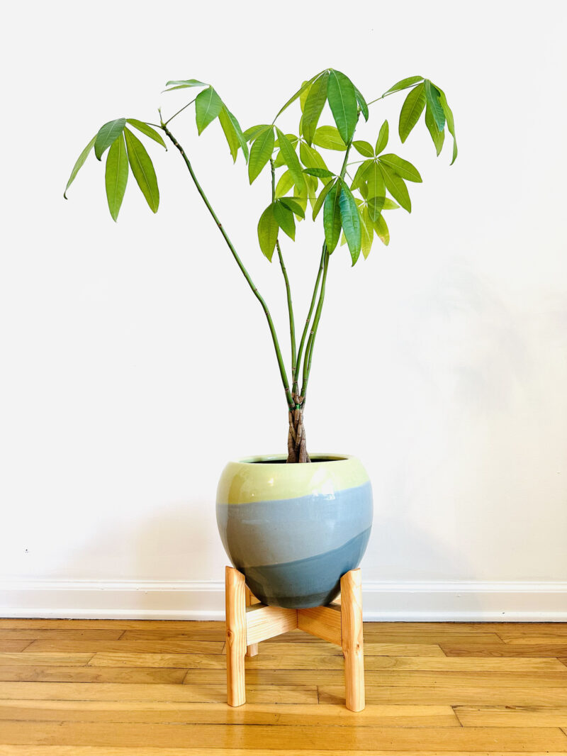 Collapsible Plant Stand - Image 2