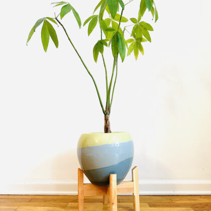 Collapsible Plant Stand