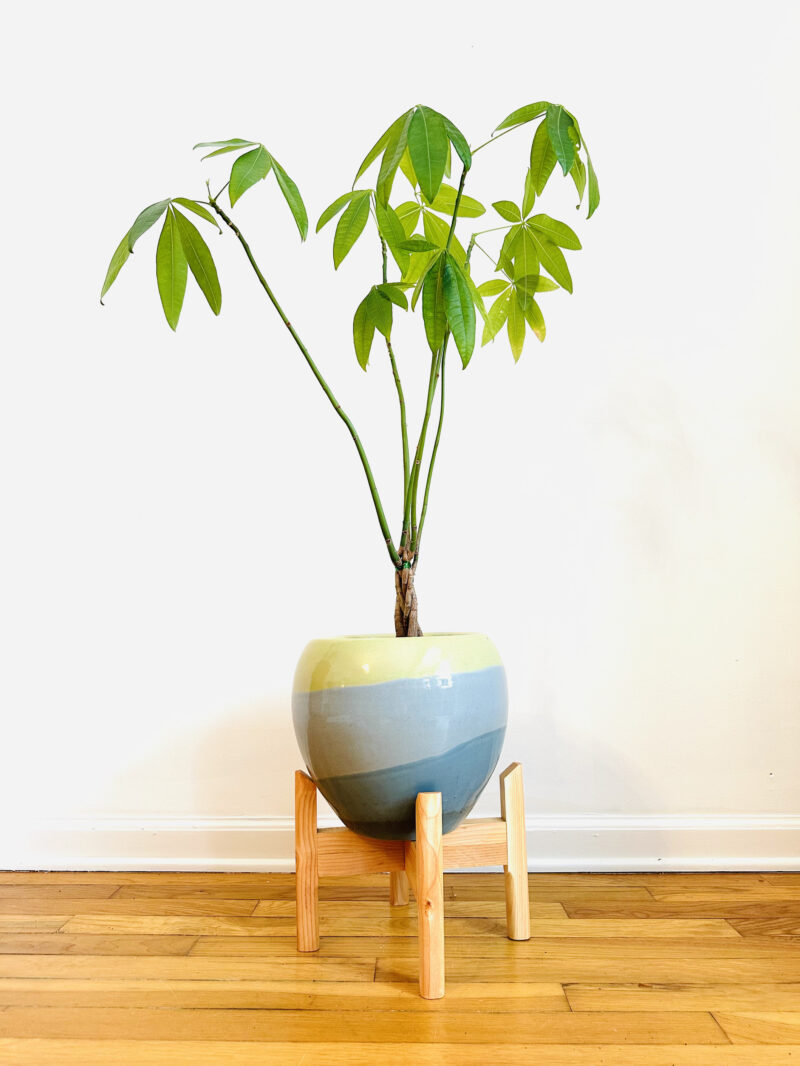 Collapsible Plant Stand