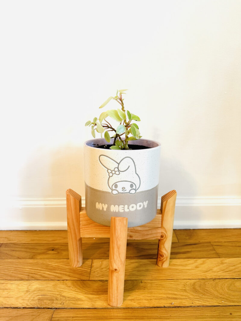 Collapsible Plant Stand - Image 10