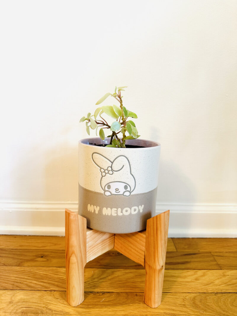 Collapsible Plant Stand - Image 4