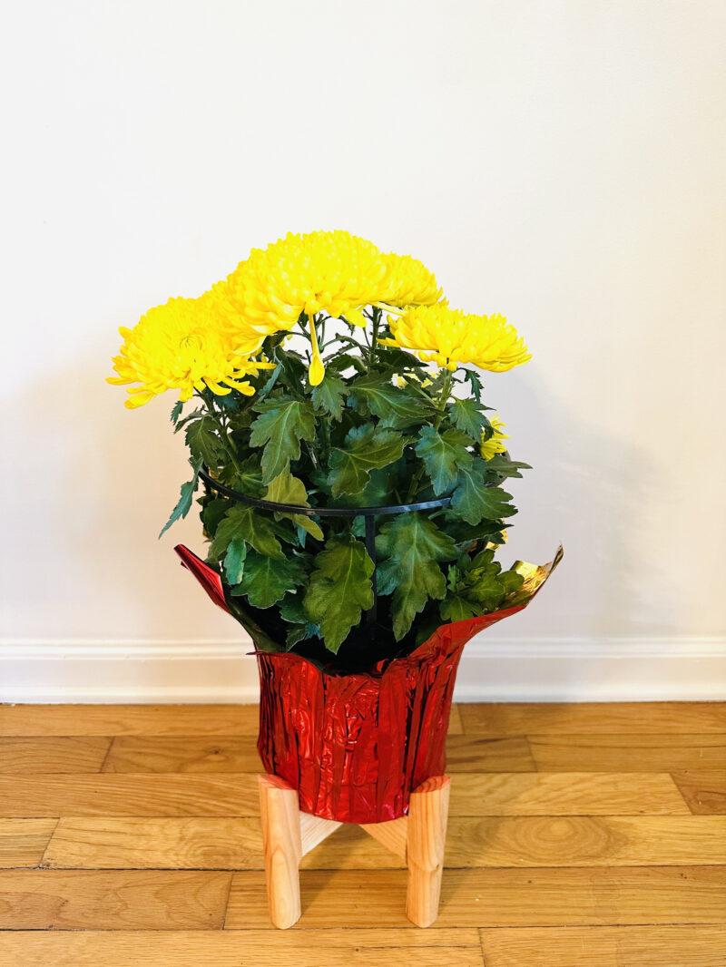 Collapsible Plant Stand - Image 12