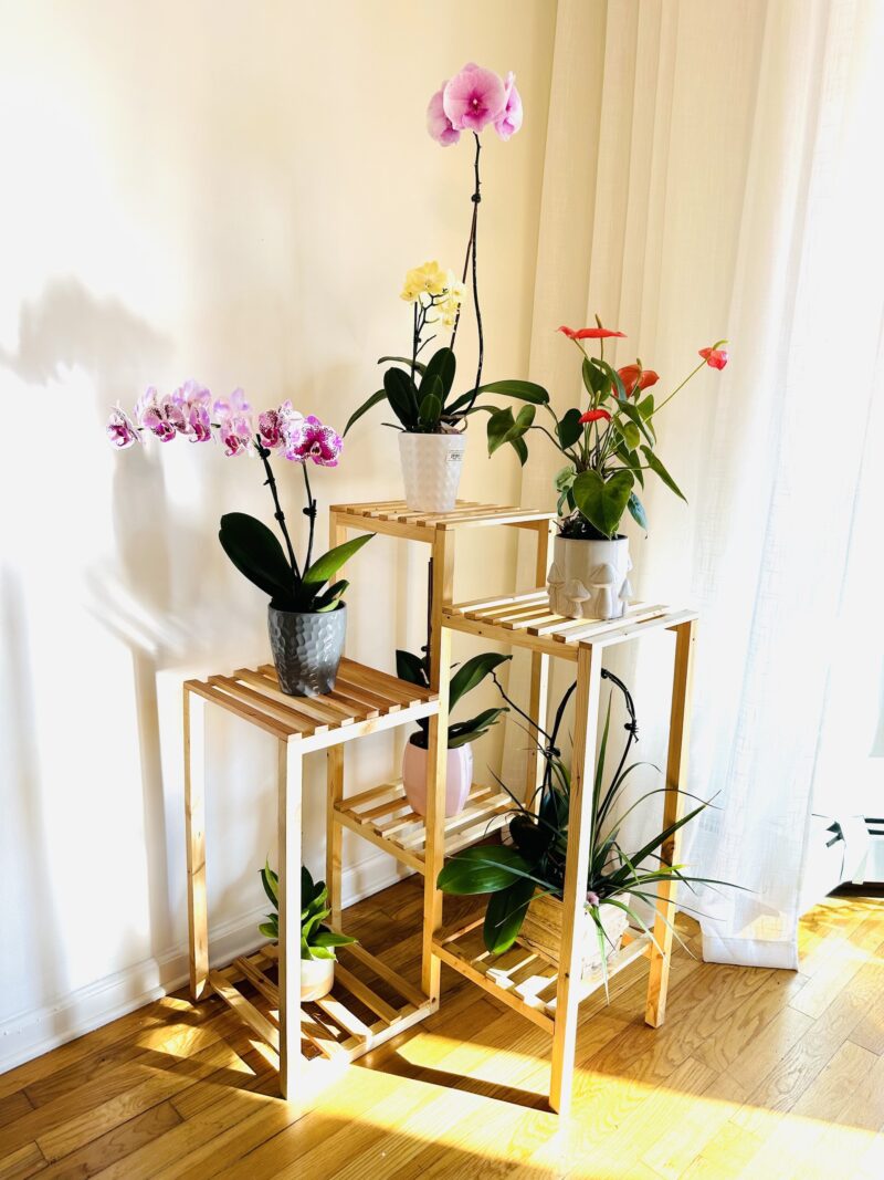 Multi-Tier Angled Plant Stand